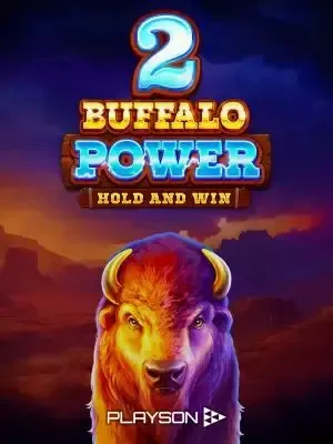 Live Casino Game 5